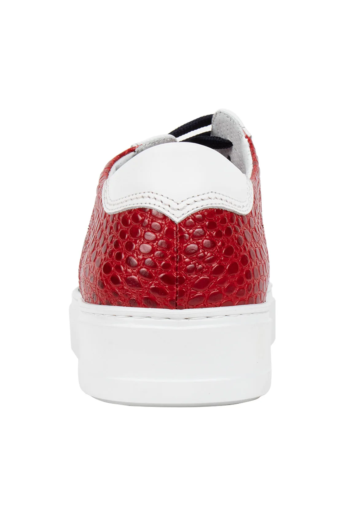 Galizio Torresi Lace Sneaker Red/Wht/Blue