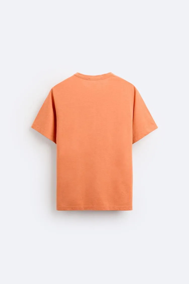 ZARA  |T-Shirts